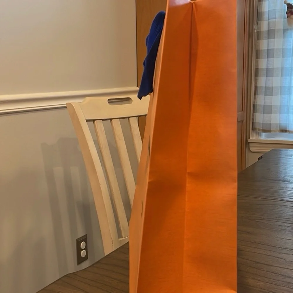 Louis Vuitton Gift Bag